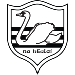 Carrick Swans