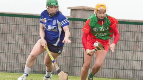 Munster Senior Semi final Drom&Inch v Killeedy