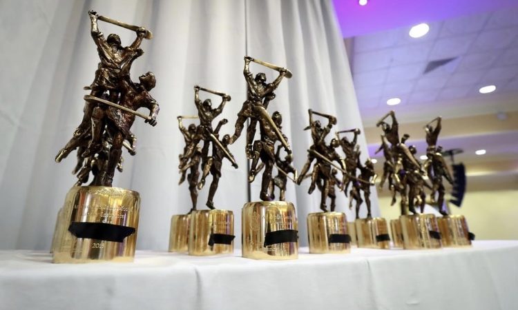 Champions Kilkenny Lead Camogie All-Stars Awards Selections