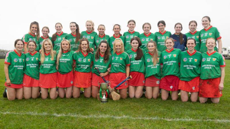 Intermediate Championship final, Clooney-Quinn 0-14, Official Whitegate Camogie 1-8