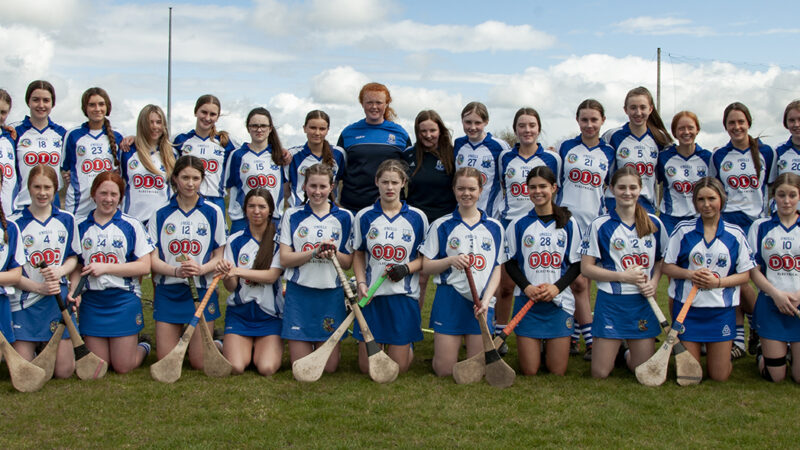 Munster Under 16A Championship Waterford v Clare