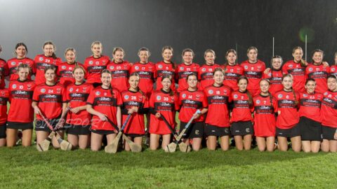 St Fanahans Camogie