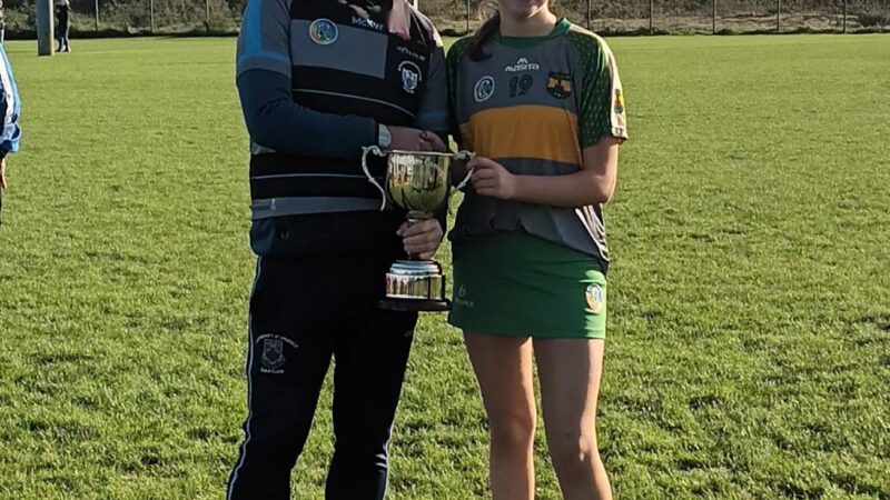 Munster 7s that took place yesterday in Caherlohan Co Clare.