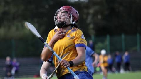AIB Munster senior preliminary round St Finbarrs v Truagh Clonlara  Half time in MTU Cork St Finbarrs 4-10 Truagh Clonlara 1-12