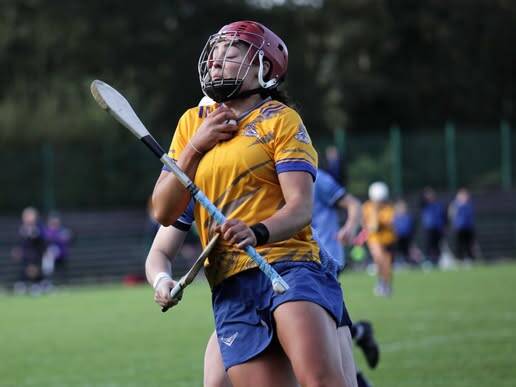 Munster Camogie