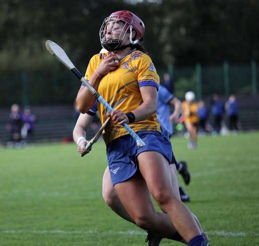 AIB Munster senior preliminary round St Finbarrs v Truagh Clonlara  Half time in MTU Cork St Finbarrs 4-10 Truagh Clonlara 1-12